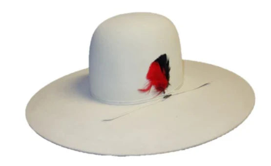 Chute silverbelly 5” Brim